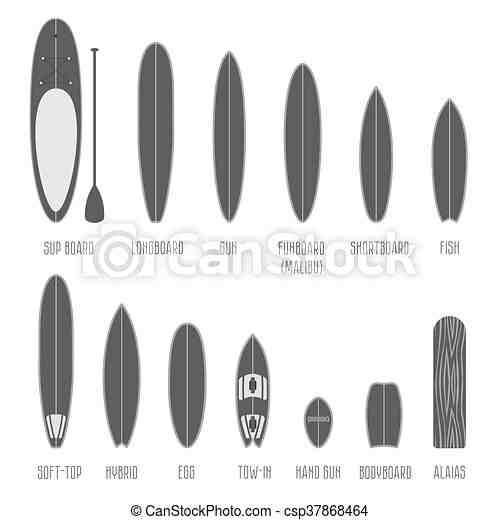 Comment choisir le litrage d'une planche de surf ?